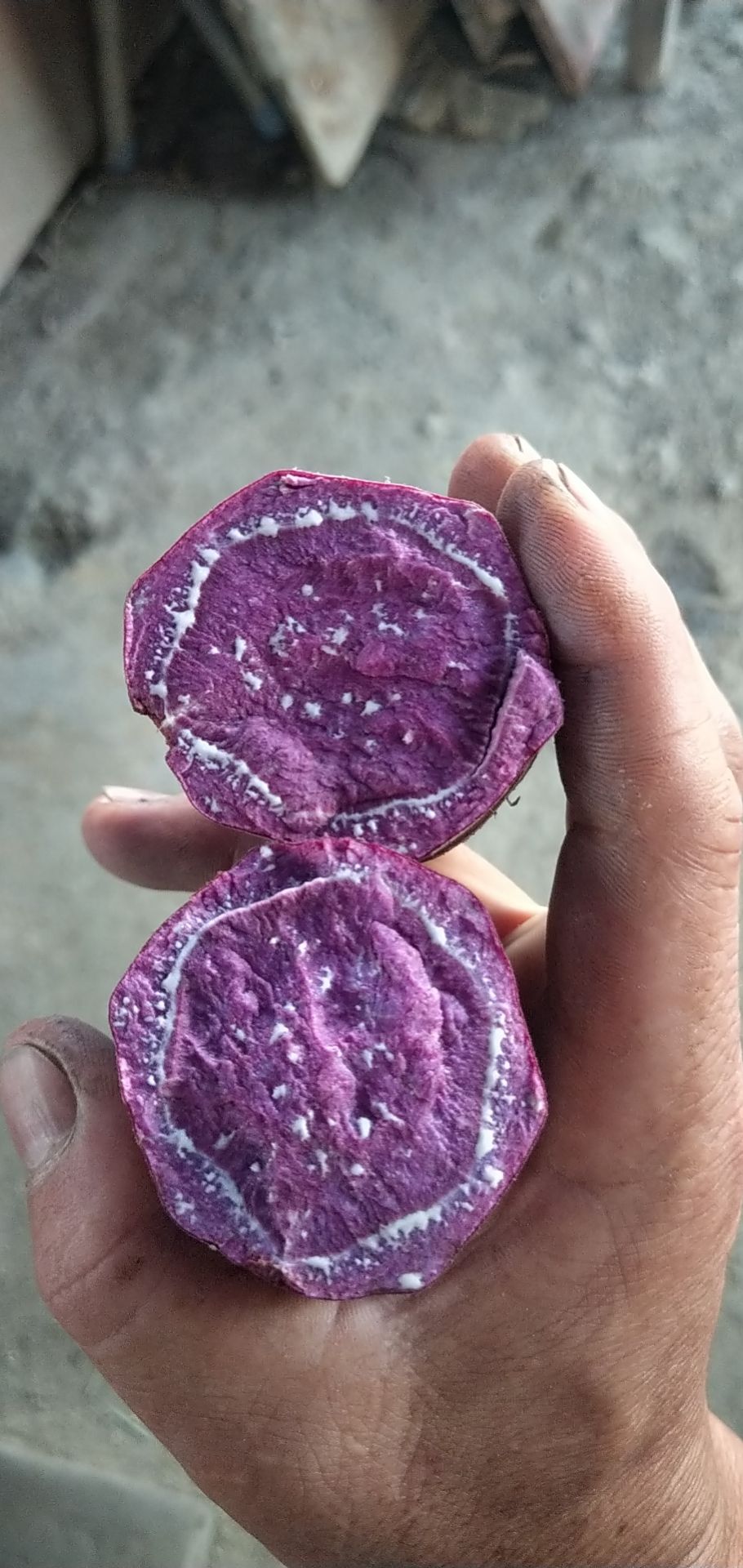  红薯(地瓜) 桂经8号，没虫眼，没苦味，品优价惠，欢迎下单