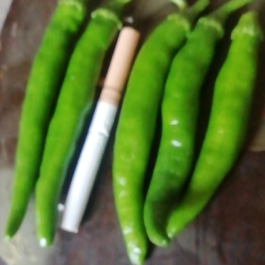 冠县青辣椒粉 青阳高辣度辣椒口感好，适应大众口味，可以做泡椒凤爪。
