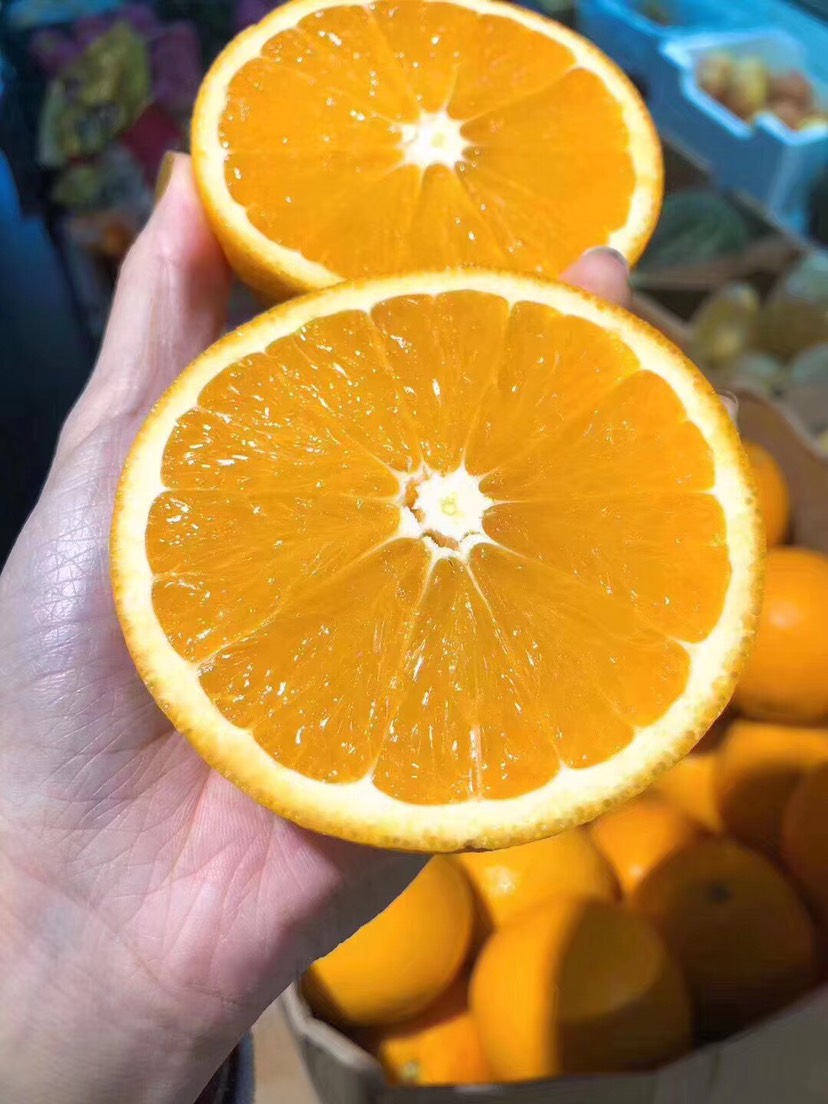 广州南非橙  大量到货，一手货源