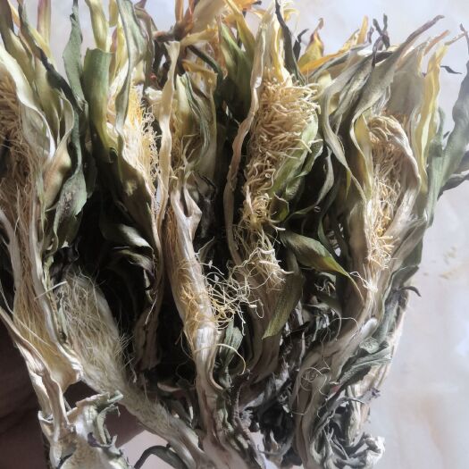 景洪市霸王花