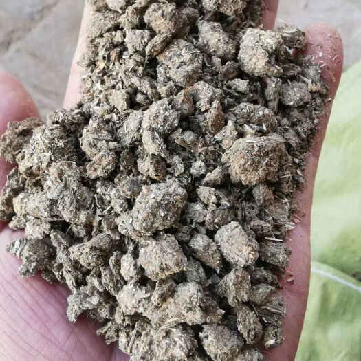 博乐市葵花饼饲料 优质膨化饲料 葵粕现货出售