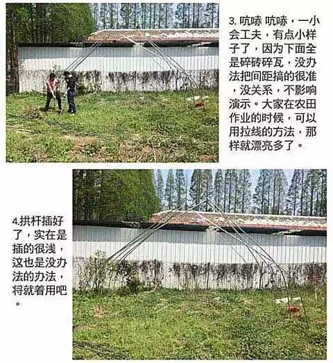 沭阳县 养殖大棚热镀锌钢管骨架连体蔬菜大棚温室大棚全套配件用品塑料膜