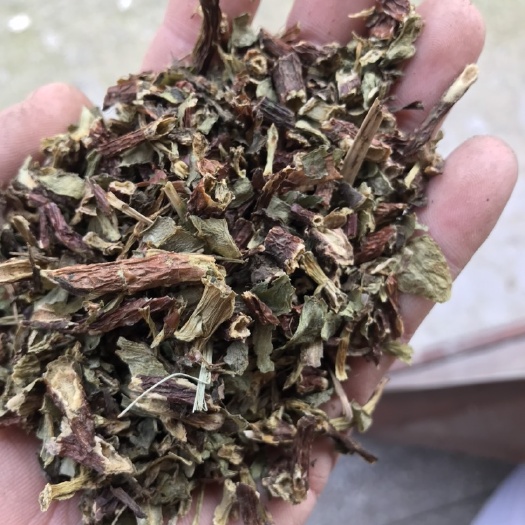 亳州景天三七 养心菜  费菜