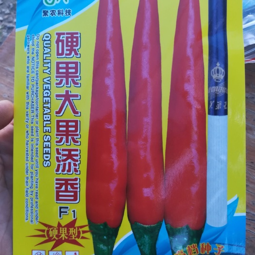 吴川市 鲜果形朝天椒种子