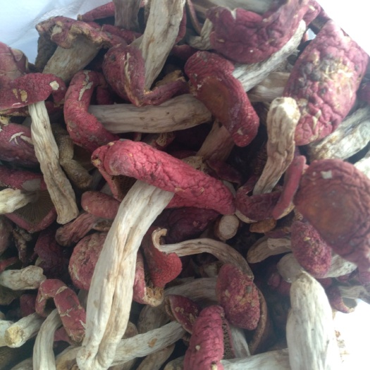 天然红菇  大红菇 甘甜无硫 物美价廉
