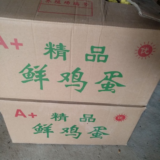 馆陶县 土鸡蛋
