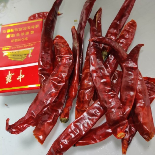 大方县 贵州干辣椒