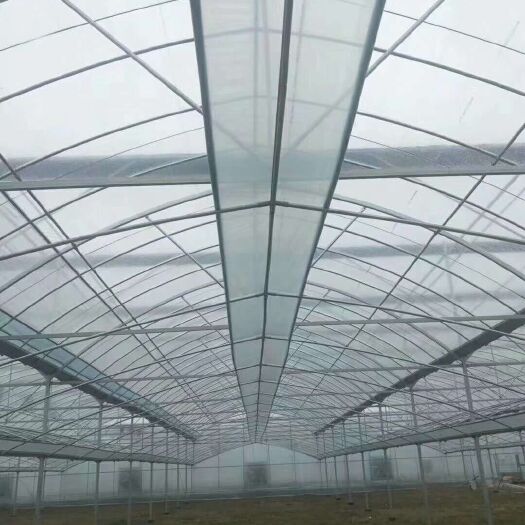 泊头市塑料薄膜温室大棚