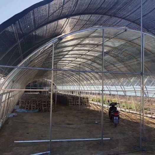 泊头市镀锌带种植大棚 蘑菇棚