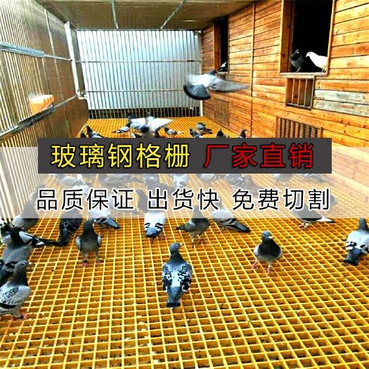 安平县禽畜地网漏粪板污水处理排水沟树坑树篦子养鸽子鸽棚舍地网厂家