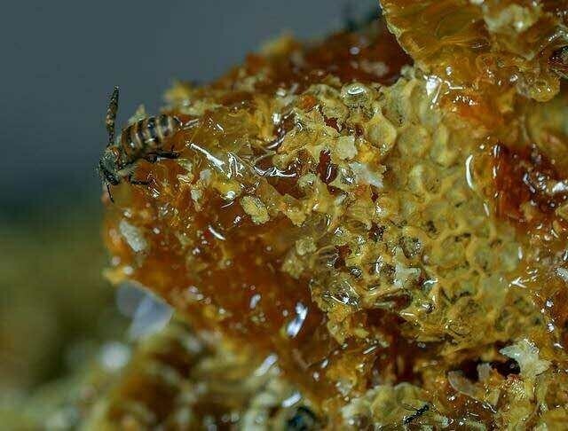 汝阳县 大自然蜂蜜假一赔十