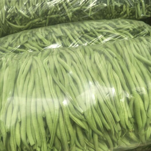 武山县无筋豆角  精品豆王