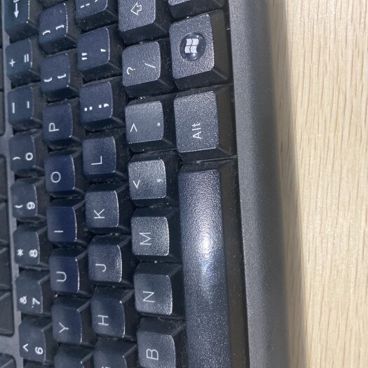 长沙三黄鸡苗 统货