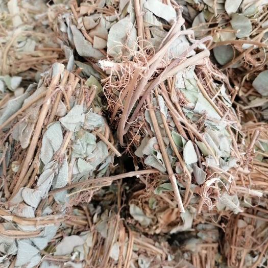 玉林金钱草扎把