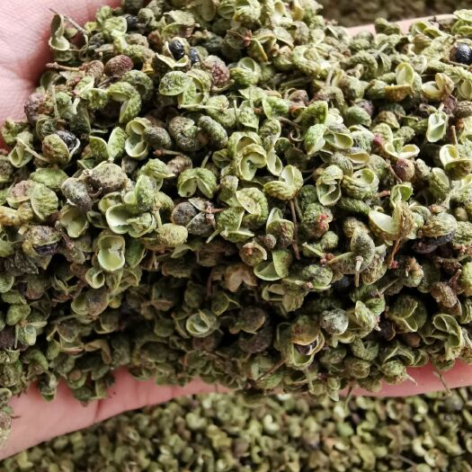 郑州 麻椒