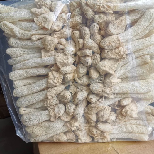 广州鲜竹荪 新鲜竹笙干货