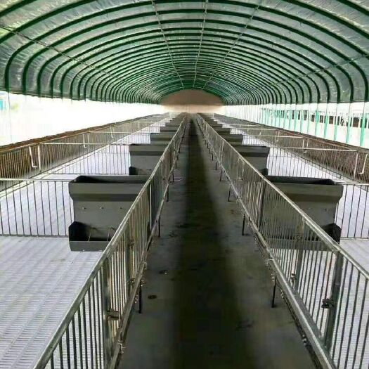 天津 养殖大棚，养殖大棚骨架，牛棚羊棚猪棚鸭棚蛋鸡棚