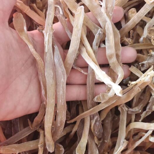 徐闻县 天然沙虫干