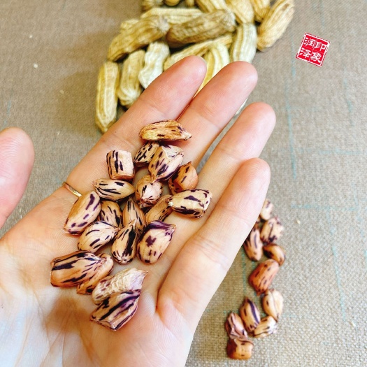 义乌市 云南七彩花生——花生里的皇后，营养价值！