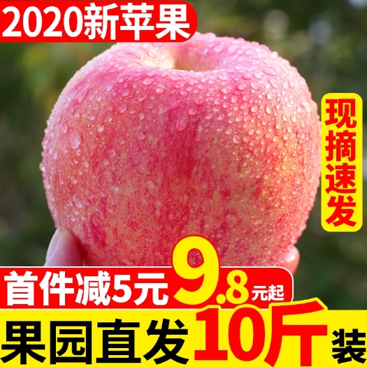 临猗县 苹果水果新鲜当季水果丑苹果整箱10斤现季嘎啦青红富士带斤一