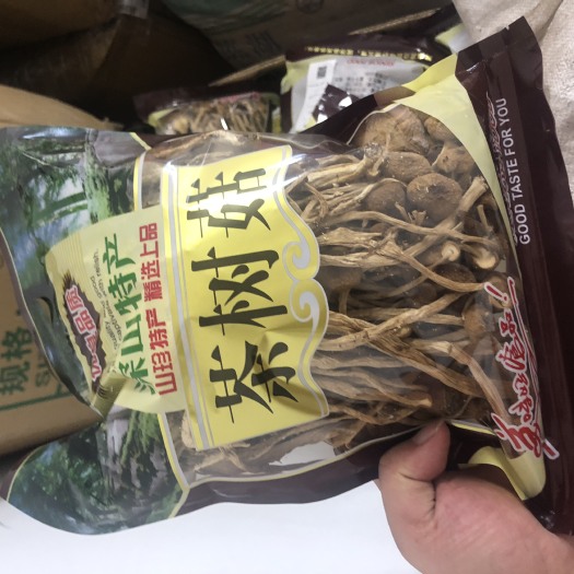福州 【新货茶树菇】2020茶树菇宁德古田农产品茶树菇干货无硫鲜嫩