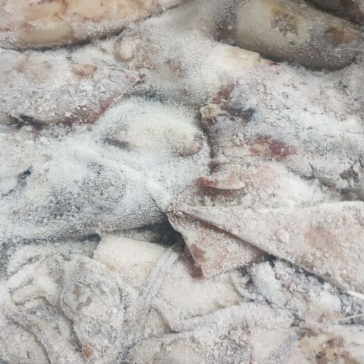 福州 秘鲁鱿鱼