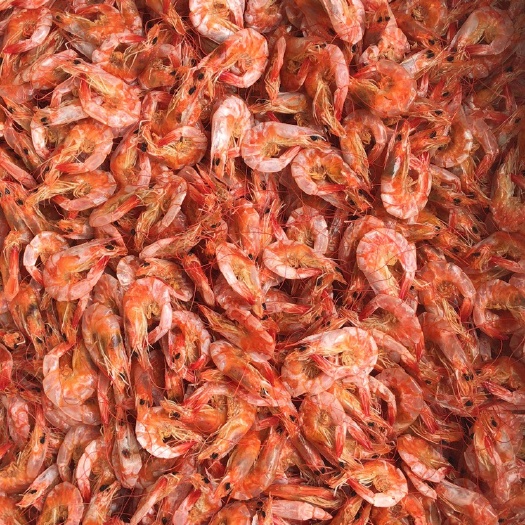 汕头即食虾干1 即食虾干 即食烤虾淡干