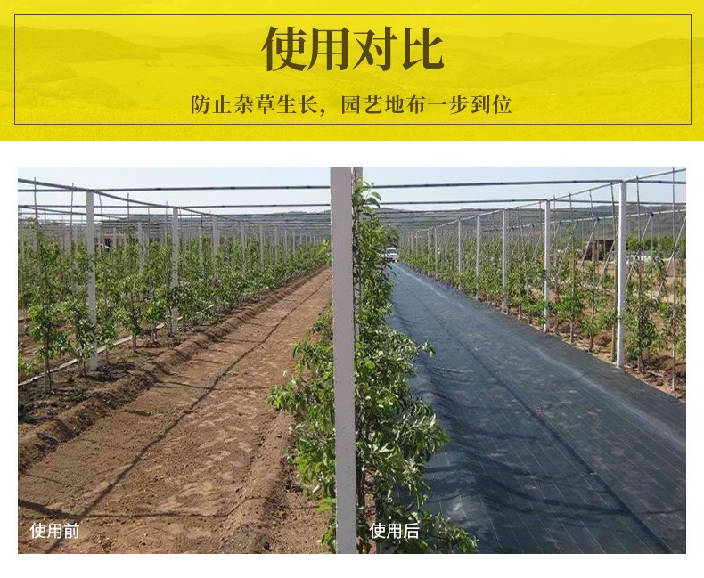 加厚厂家直销保湿防草布除草布果园农用地布渗水膜耐用果树