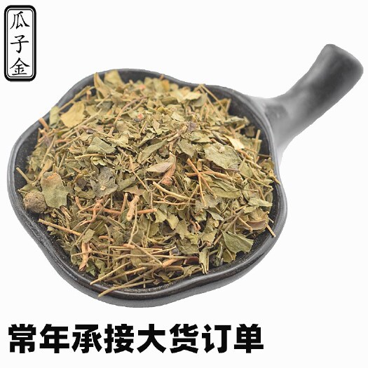  瓜子金 辰砂草 瓜子草正品保障