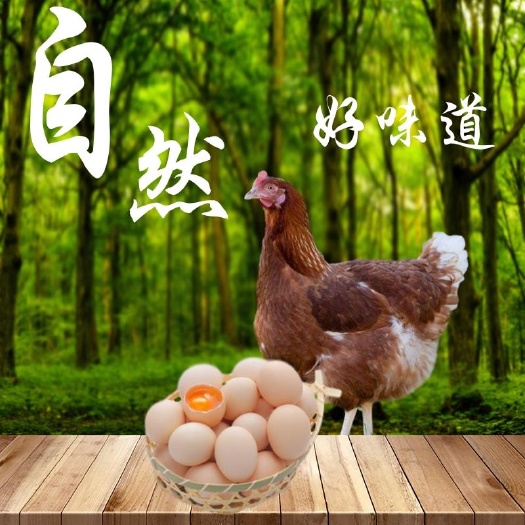 莱阳市莱阳本地或附近采购|杀鸡前掏出来的_土鸡蛋_适合打散了使用
