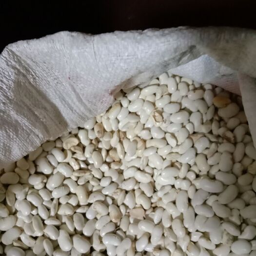 丹巴县九粒白芸豆 绿色农产品大白芸豆