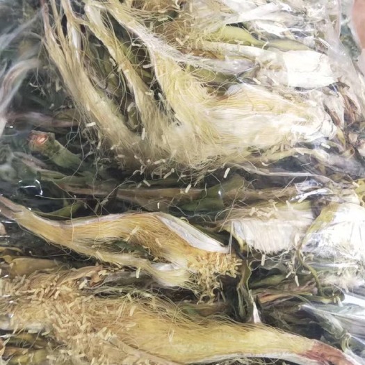 台山市 天然生晒霸王花干，绝任何防腐剂，绿色食品