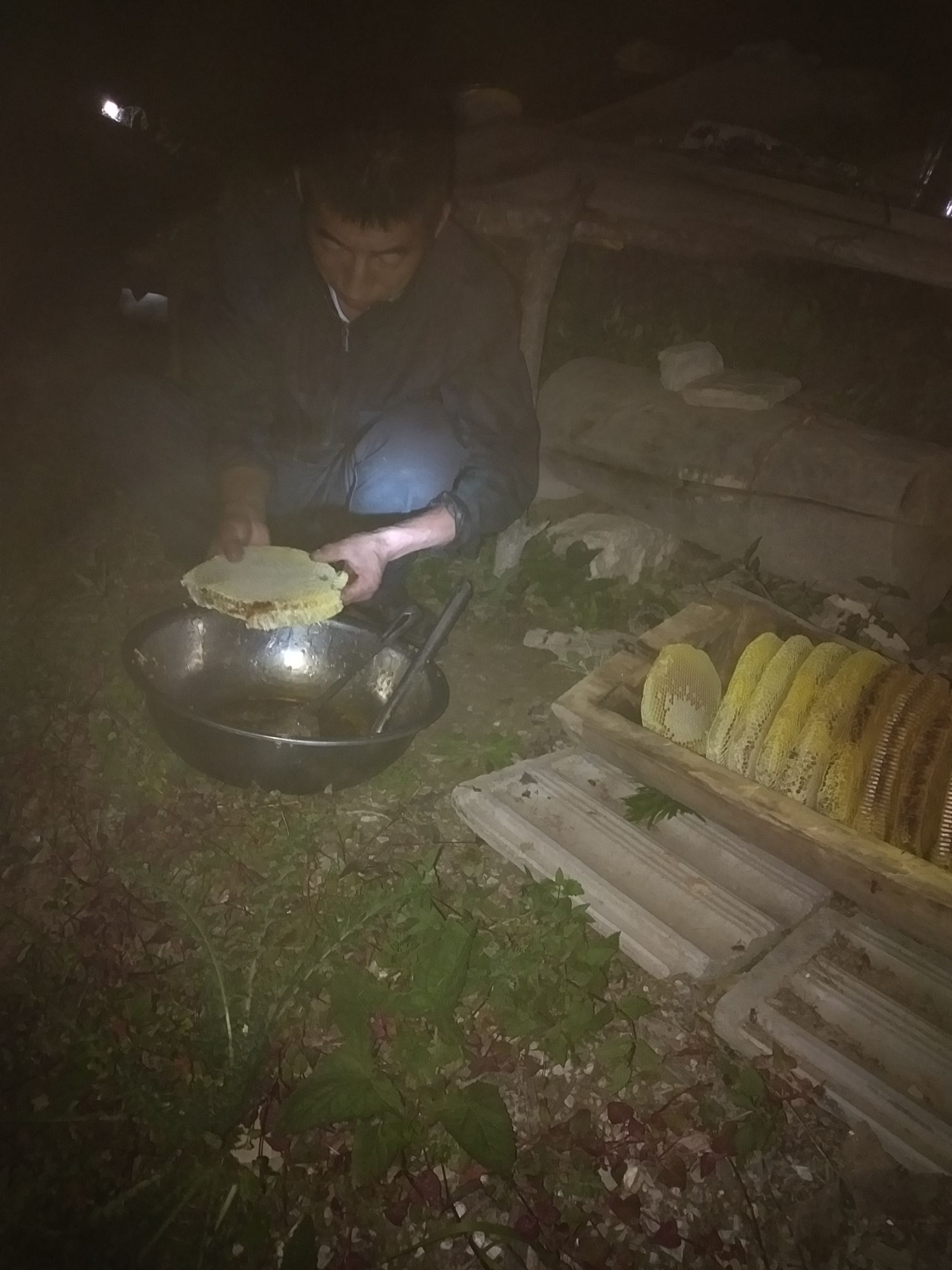  天然土蜂蜜，兔子养殖，