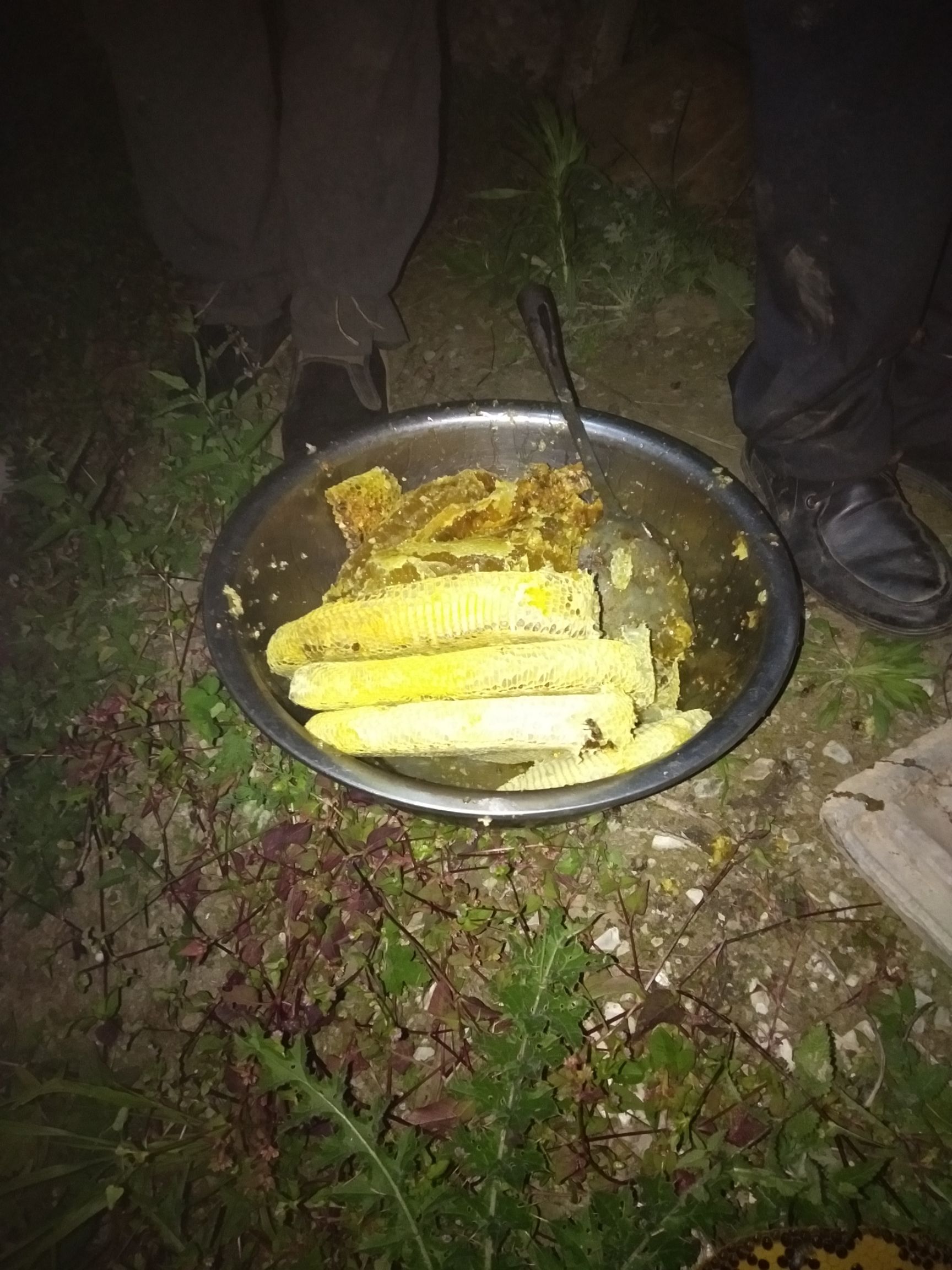  天然土蜂蜜，兔子养殖，