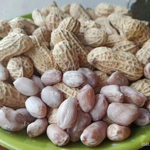 水煮花生 梅州平远东石地标性农产品…东石花生