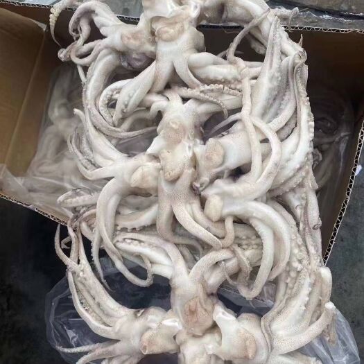 荣成市鱿鱼  阿尤机洗头
