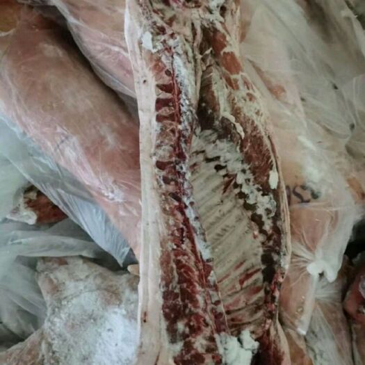 石家庄整头猪 生肉