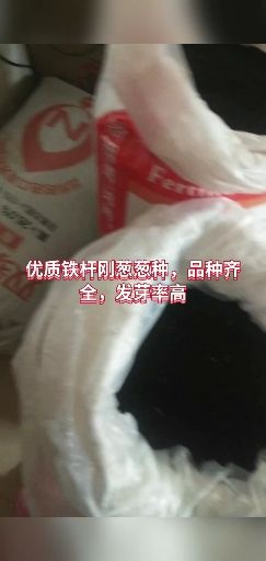潍坊四季小葱种子 纯二代铁杆葱种，发芽率高，新种子，品种齐全