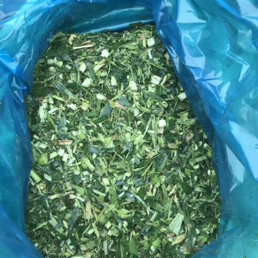惠东县秸秆饲料，玉米秸秆