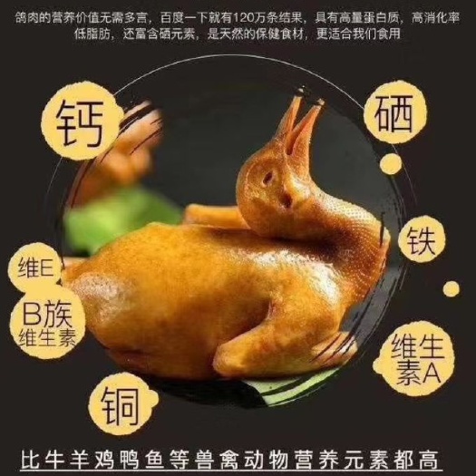 保定肉鸽肉 批发零售  送饭店  一次合作  终身朋友