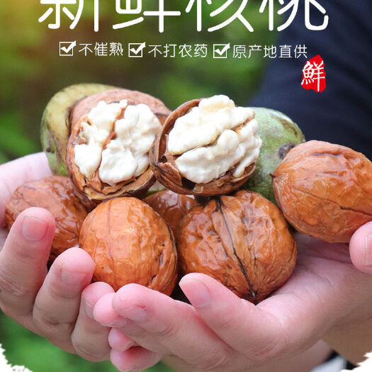 盐源县鲜核桃 四川凉山自产自销，原产地，价格美丽，需要的请尽快联系