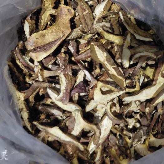 镇巴县 大山上的红葱牛肝菌
