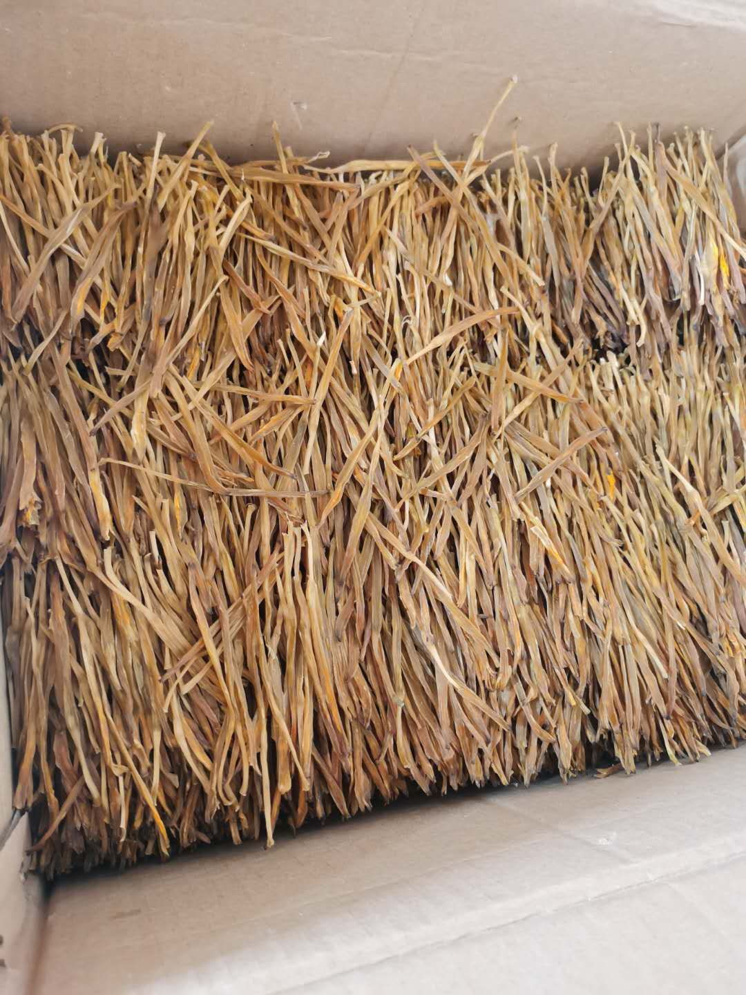 大荔黄花菜菜熟条菜