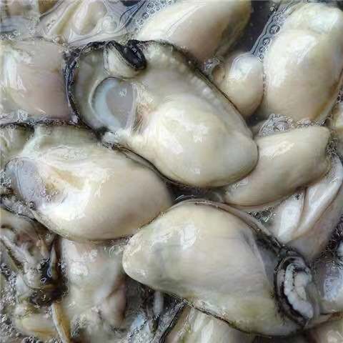  (当天现剥)超大生蚝肉海鲜水产即食去壳牡蛎肉海蛎子肉