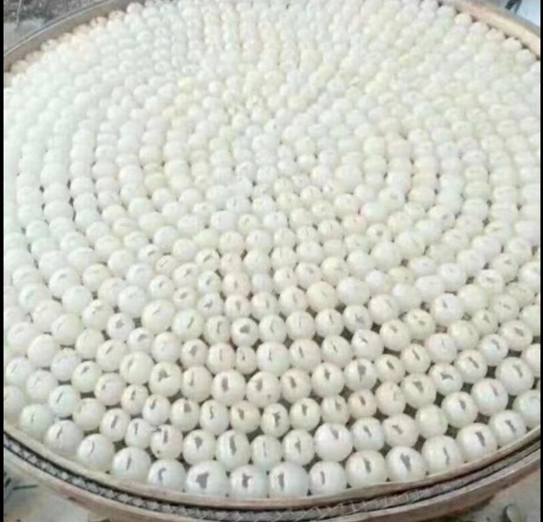 高州桂圆肉 高州本地龙眼，天然手工制作