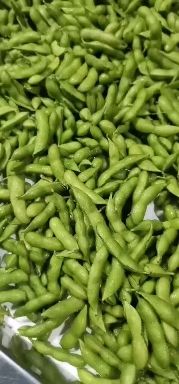 郯城县毛豆荚  翠绿宝，颜色绿，产量大