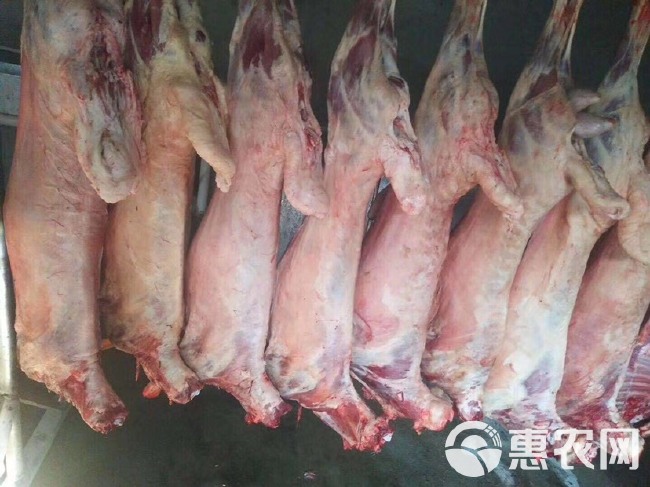 绵羊肉 生肉