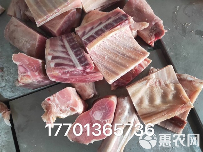 羊肉类 生肉