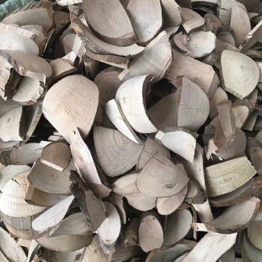 大货供应｛毛冬青｝可批量可零售量大从优【包邮】