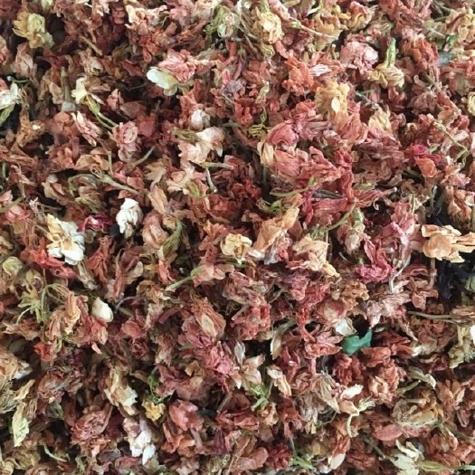 长期供应｛罗汉果花｝可批量可零售量大从优【包邮】